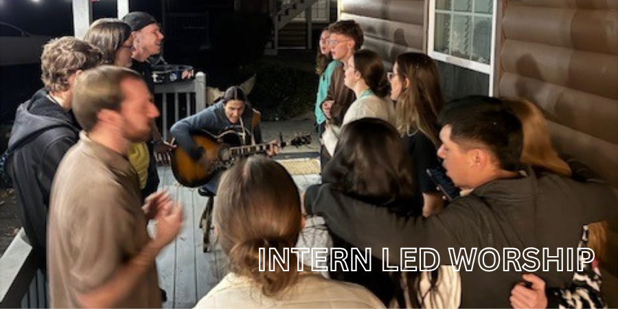 Web-Institute 18